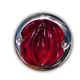 Image for article titled In Case You Were Wondering, Vulva Taillights Appear To Be A Thing